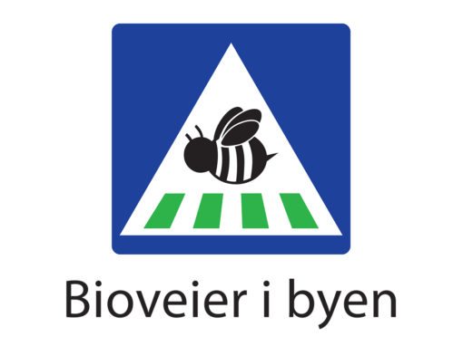 Bioveier i byen